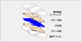 表面と裏面の印刷をコーティングするパターン